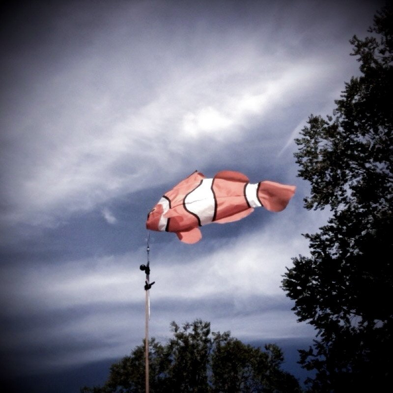 meliasphoto's profile picture. 