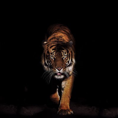 Lj77611764's profile picture. 