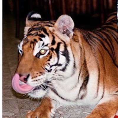 thisis_myscript's profile picture.