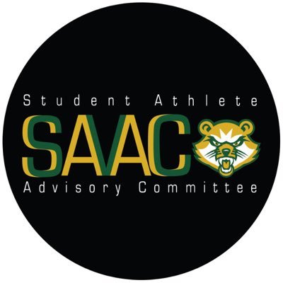 Saint Vincent College's Student Athlete Advisory Committee (SAAC) enhances the total student-athlete experience through campus and community involvement.