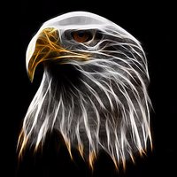 Atilla Laçuş (@lacusati) 's Twitter Profile Photo Atilla Laçuş (@lacusati) 's Twitter Profile Photo