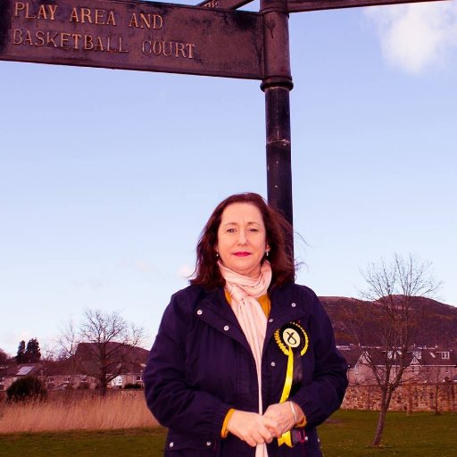 Cllr Lesley Macinnes Profile