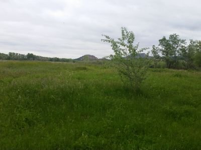 echorise013's profile picture. 