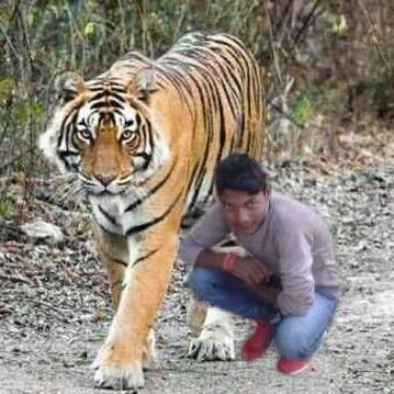 VishwakarmaCh10's profile picture. 