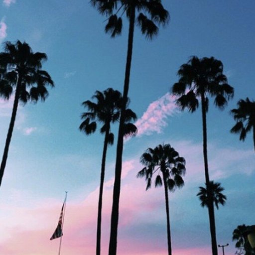 Nusratulloh4's profile picture. Follow me , Don't follow your dreams :)