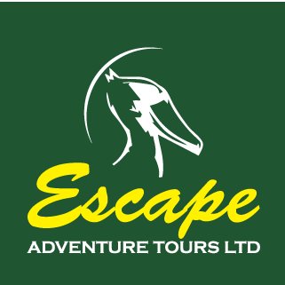 Escape Adventure Tours Ltd is a registered tour operator offering  wildlife safaris in East Africa.  contact escapeadventuretours@gmail.com or tel +256773450092
