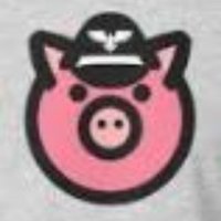 BB PigFun🐷 (@bbpigfun) 's Twitter Profile