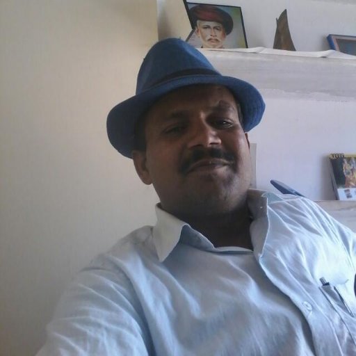 birdichnd485's profile picture. 