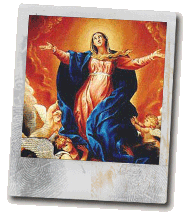 evilance's profile picture. sarcastic, witty & fucking charming...