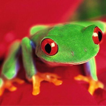 dav_fontaine's profile picture. 