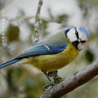 Roveque (@roveque48) 's Twitter Profile Photo Roveque (@roveque48) 's Twitter Profile Photo