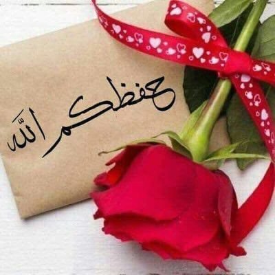 ErunFoTkI9yQRQJ's profile picture. ‏‏‏