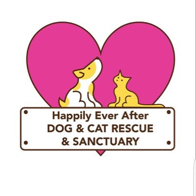 HEADogRescue's profile picture. We are a small, not for profit dog & cat rescue based in Bristol. We believe that a dog or cat in need is need no matter where it comes from Tel: 08454634886