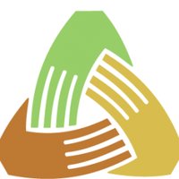 Consolidar (@consolidarongs) 's Twitter Profile