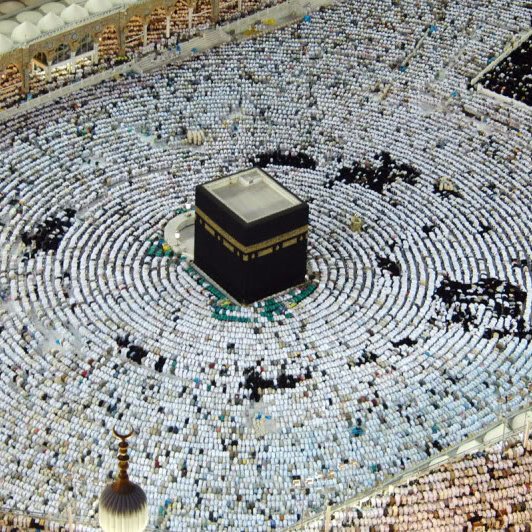 maulananizamud2's profile picture. 