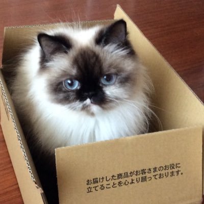 ynrosie's profile picture. 