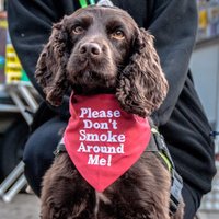 Kent Stop Smoking (@kentquit) 's Twitter Profile