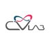 Cardiovascular Lab (@cardiovlab) Twitter profile photo Cardiovascular Lab (@cardiovlab) Twitter profile photo