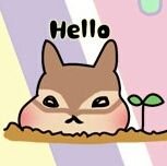 risucoさんのプロフィール画像