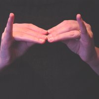Bridge Interpreting (@bridgeterps) 's Twitter Profile