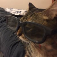 Kadir Can (@turungkadircan) 's Twitter Profile