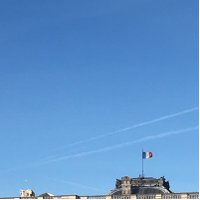 R (@qsoneko) 's Twitter Profile