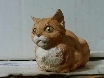 固猫さんのプロフィール画像