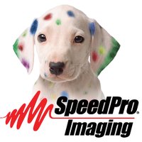 SpeedPro Apex (@speedproapex) 's Twitter Profile