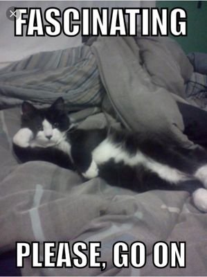 uppitykat's profile picture. 