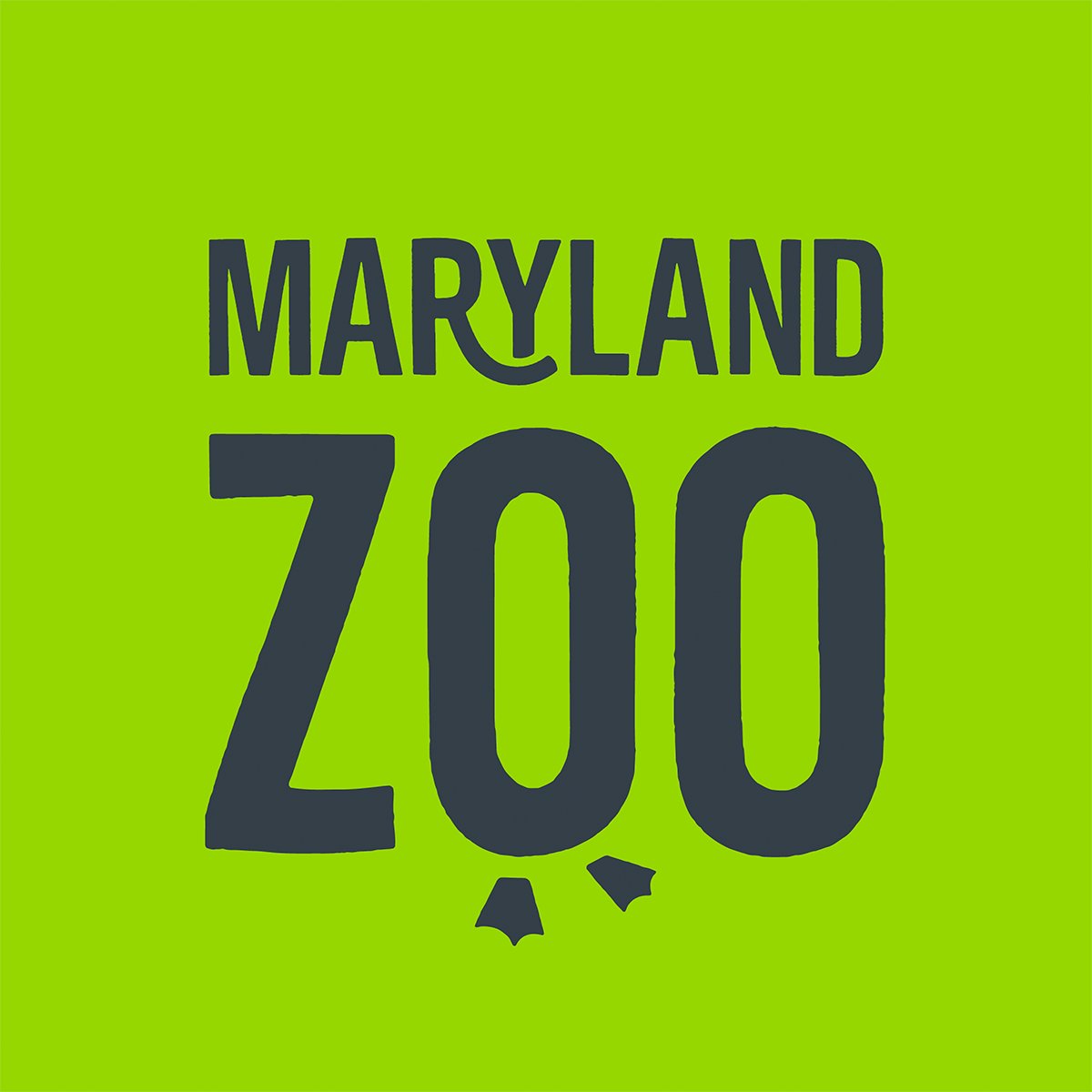 Learning with wildlife. The Maryland Zoo's educators engage students, teachers and adults with living science to inspire animal conservation. #allforanimals