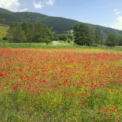 Essere e non Apparire Linfa dell'Esistenza!