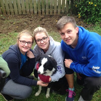 LindaGoswell's profile picture. 