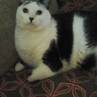 Cathie Bargenda 🇨🇦 (@cathiebargenda) 's Twitter Profile Photo Cathie Bargenda 🇨🇦 (@cathiebargenda) 's Twitter Profile Photo
