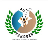 Hatay Tabiatı Koruma Derneği(@Takoder) 's Twitter Profile Photo