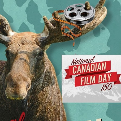 Buster_Chaplin's profile picture. Futuro campeón olímpico en Tetris y Mario Bros 3. Músico en  rehabilitación. Tengo trastornos del sueño, pero al menos ya no pienso  tanto en ti.