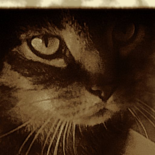 N33N33_Vlog's profile picture. #Durchgeknallt aber #niedlich. #Gameing, #Letsplay, #Videos, #Kochen, #Ausflüge und was sonst so mir rumschwirrt. #Asperger