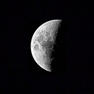 mn19721991's profile picture. 