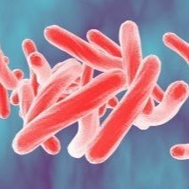Jejaring Riset TB Indonesia