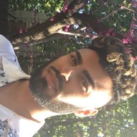 Alpha Q (@qaistalab) 's Twitter Profile
