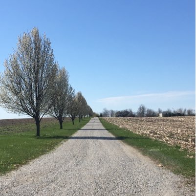 dutchlanehops's profile picture. A small hopyard-in-planning in Brookston, IN.