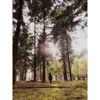 Kris Lucero (@krislucero4) 's Twitter Profile