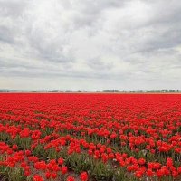 Tomasz Pusz🇵🇱 (@tomasz_pusz) 's Twitter Profile