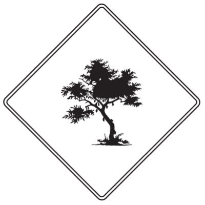 taste_choc's profile picture. The journey of great chocolate...