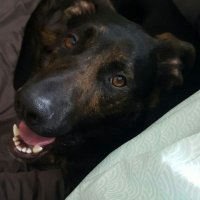Cody Partridge (@codypartypants) 's Twitter Profile