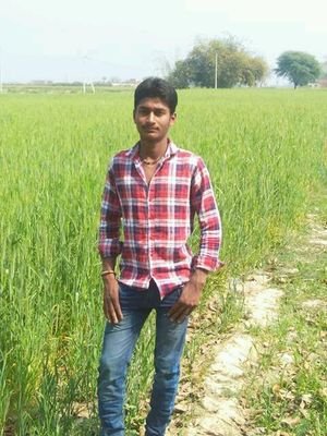 Maurya