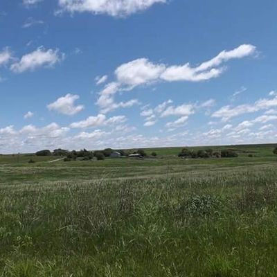 YourGoldenLife's profile picture. Wedding Officiant