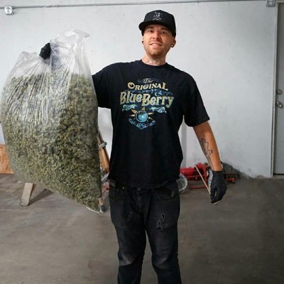 Legitbudstore is widely recognized as one of the finest weed shop in USA and Europe. order link visit : https://t.co/3Pd3xOj3Wh