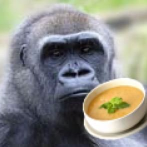 Just a gorilla who likes to drink soup