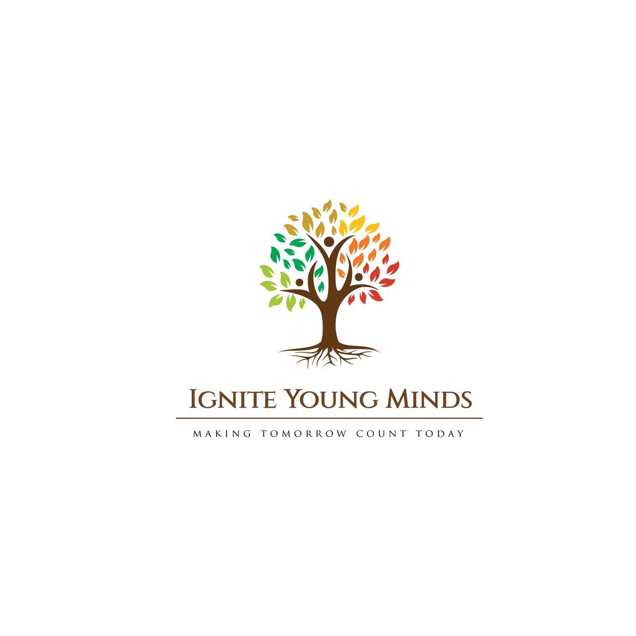 Ignite Young Minds South Africa is an initiative that bridges the gap of youth dropouts in colleges and universities due to wrong career choices.