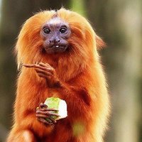 Я (@wonnyrtimd) 's Twitter Profile
